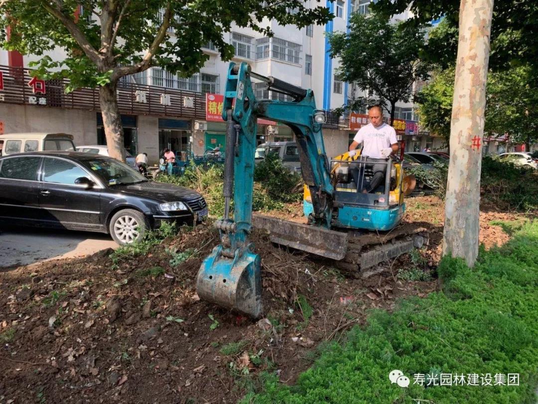 寿光园林建设集团： 城市园林精细化养管再升级