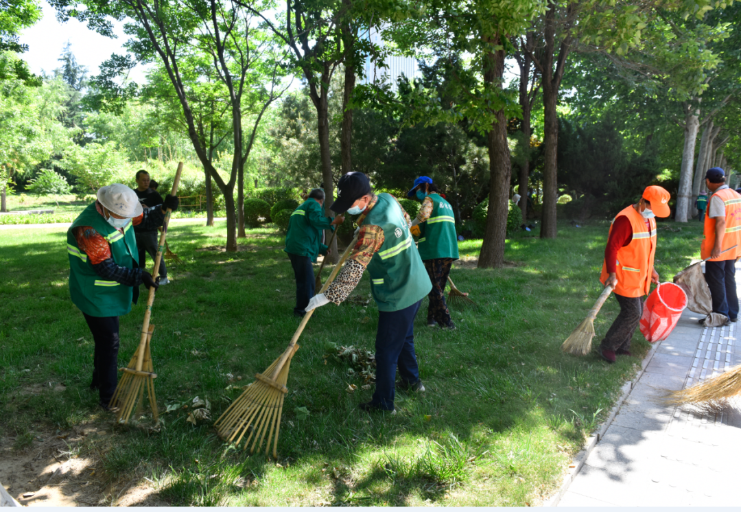 三看三比“争一流” | 园林环卫合力攻坚促提升 共建整洁优美城市环境
