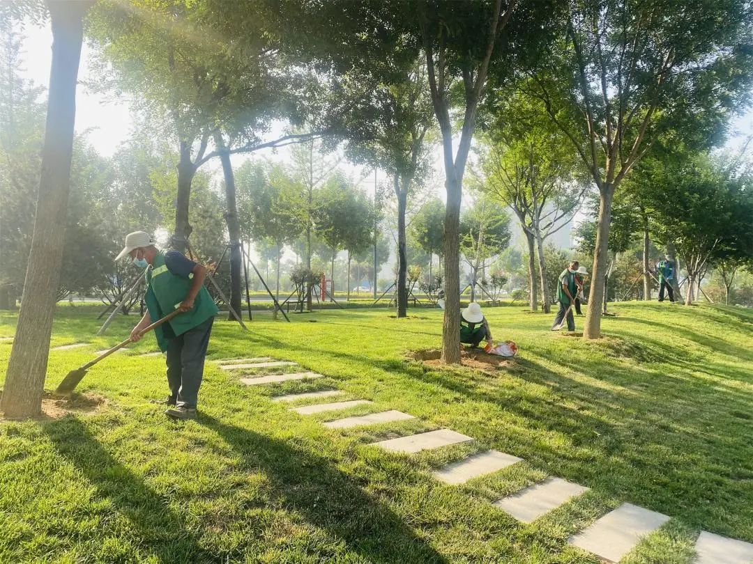 寿光园林建设集团：端午假期不打烊 扮靓城市美如画