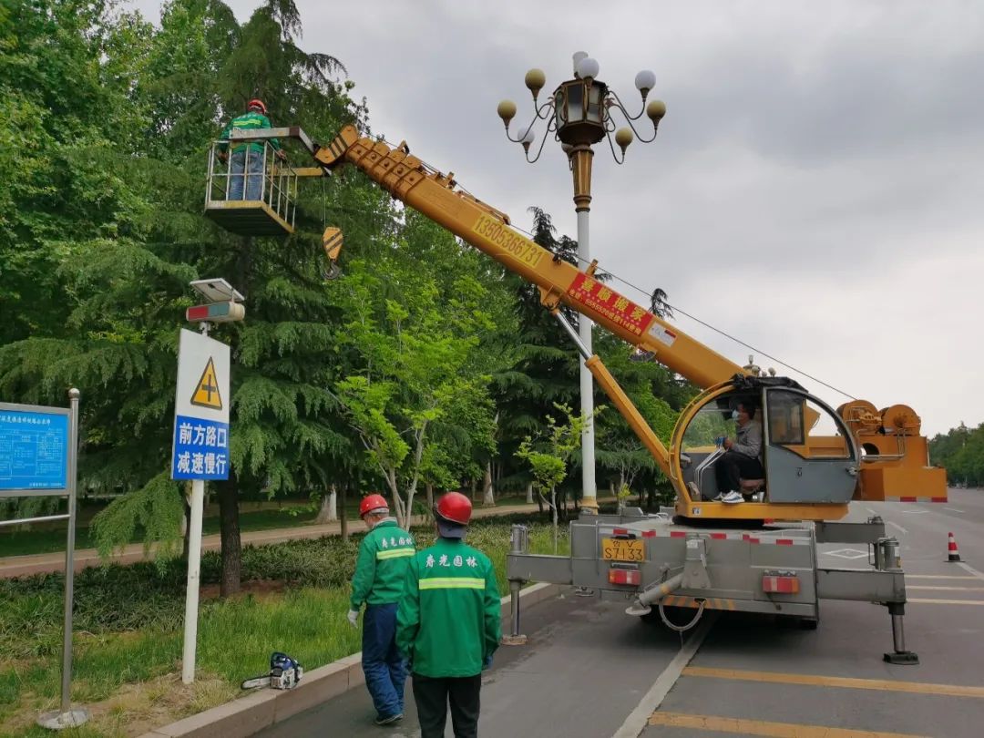 寿光园林建设集团：修剪遮挡树枝 消除安全隐患