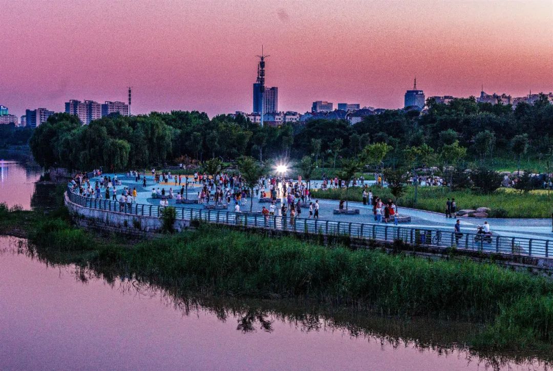 学习贯彻党的二十大精神寿光市第二届“四季园林”摄影大赛作品展示（三）