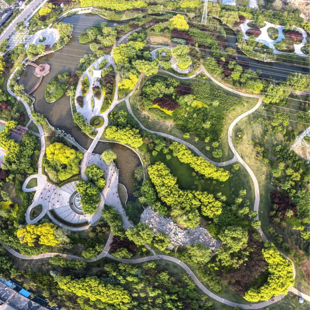 学习贯彻党的二十大精神寿光市第二届“四季园林”摄影大赛作品展示（五）