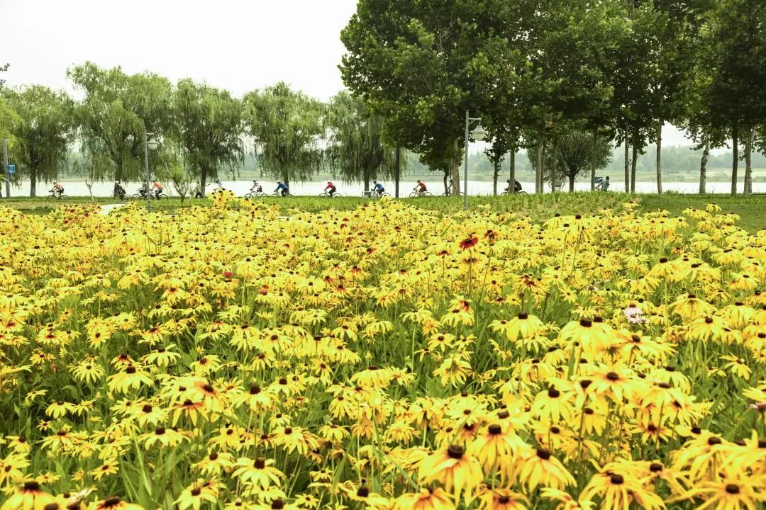 学习贯彻党的二十大精神寿光市第二届“四季园林”摄影大赛作品展示（六）