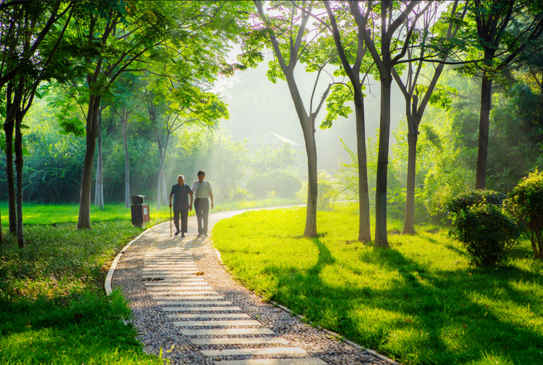 用绿色润泽民生——寿光园林建设集团加强夏季绿化养管