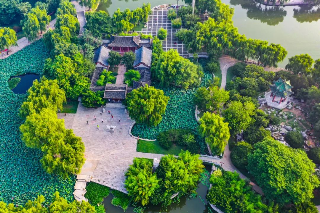 学习贯彻党的二十大精神寿光市第二届“四季园林”摄影大赛作品展示（一）