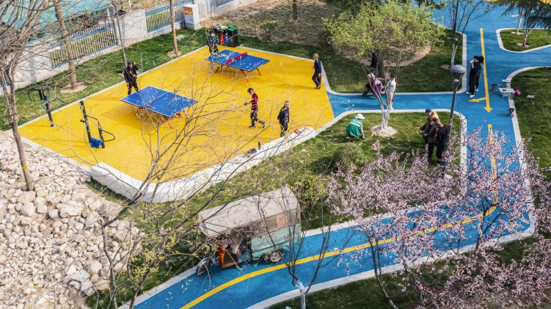 学习贯彻党的二十大精神寿光市第二届“四季园林”摄影大赛作品展示（二）