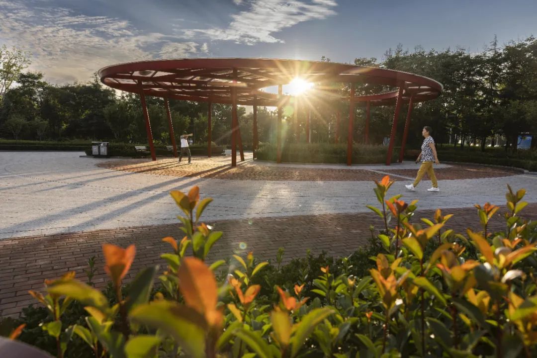 学习贯彻党的二十大精神寿光市第二届“四季园林”摄影大赛作品展示（七）