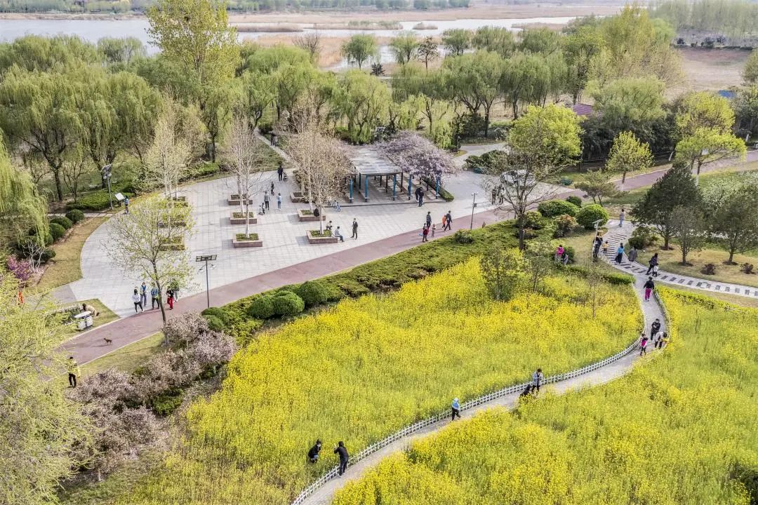 学习贯彻党的二十大精神寿光市第二届“四季园林”摄影大赛作品展示（六）