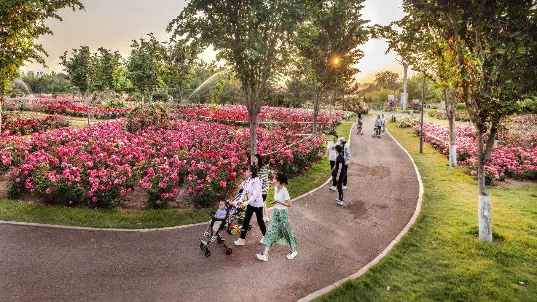 学习贯彻党的二十大精神寿光市第二届“四季园林”摄影大赛作品展示（五）