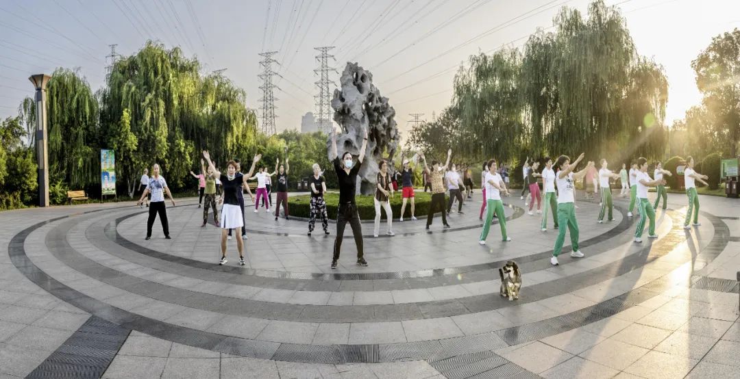 学习贯彻党的二十大精神寿光市第二届“四季园林”摄影大赛作品展示（二）