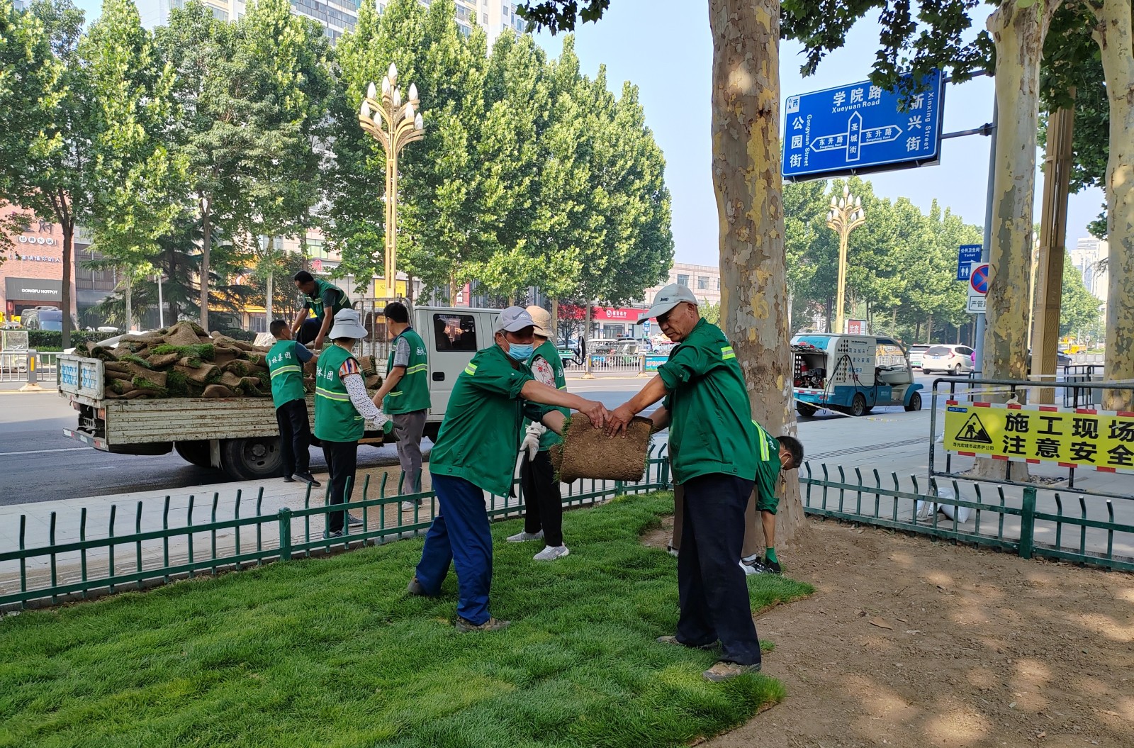 “三看三比”争一流 | 寿光园林建设集团：精致绿化助推全要素示范路创建