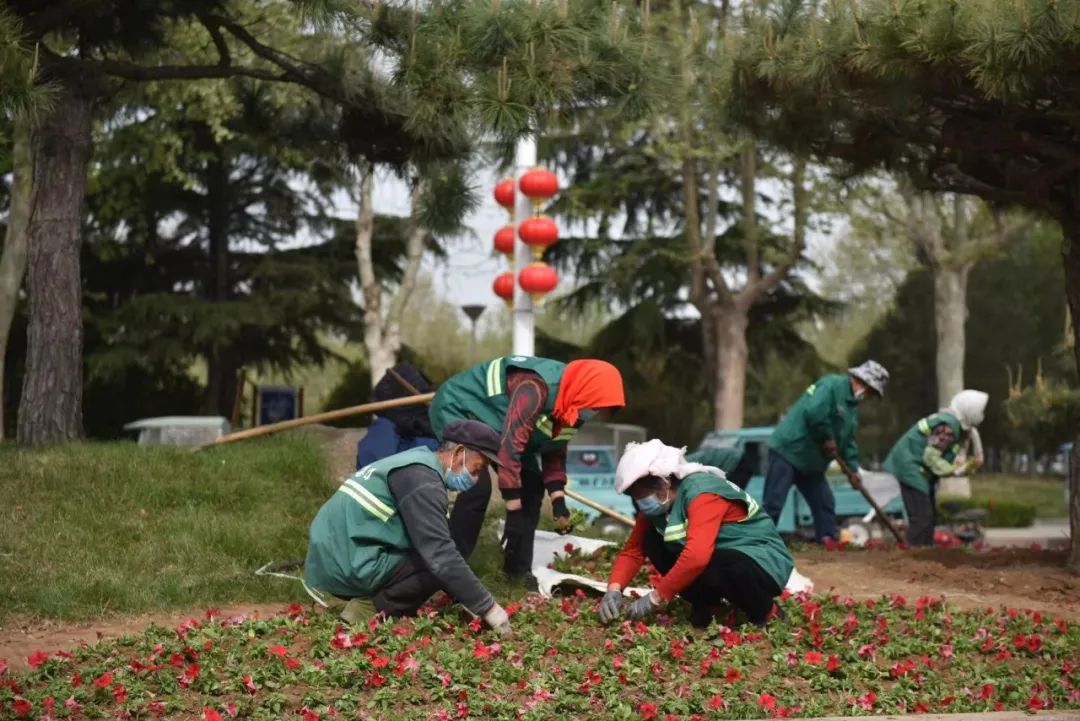 寿光园林建设集团：18万株时令花卉提升城市绿化效果 喜迎菜博盛会